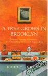 Smith Betty - A Tree Grows in Brooklyn
