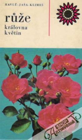 Obal knihy Růže - královna květin 