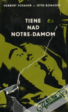 Obal knihy Tiene nad Notre - Damom