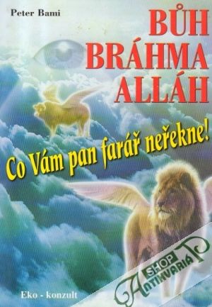 Obal knihy Buh Bráhma Alláh (Co Vám pan farář neřekne!)