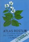 John J., Nvák J., Záborský B. - Atlas rostlin