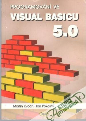 Obal knihy Programování ve visual basicu 5.0