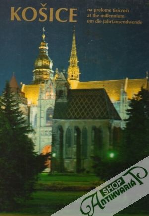 Obal knihy Košice na prelome tisícročí