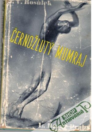 Obal knihy Černožlutý mumraj