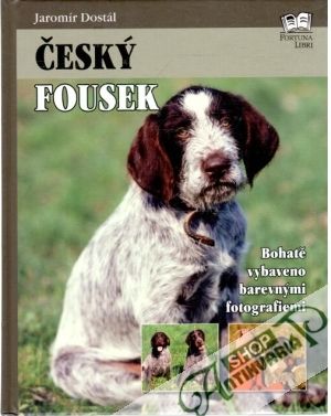 Obal knihy Český fousek