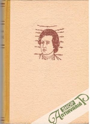 Obal knihy Goethe