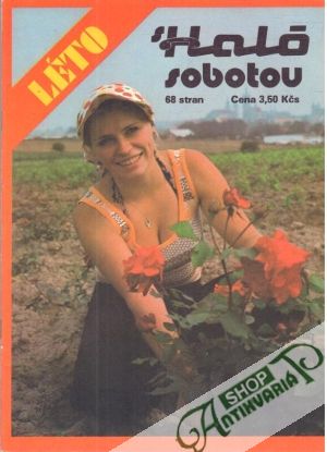 Obal knihy Léto s haló sobotou / 1984