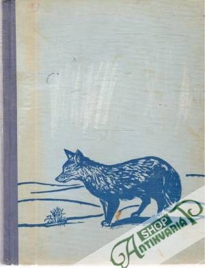 Obal knihy Za modrou liškou