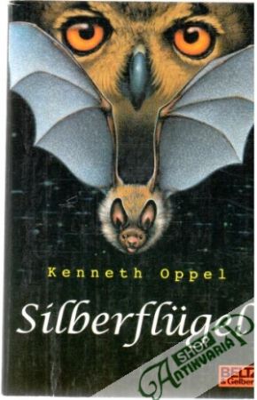 Obal knihy Silberflugel