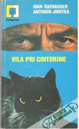 Obal knihy Vila pri cintoríne