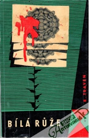 Bílá růže - Traven Bruno