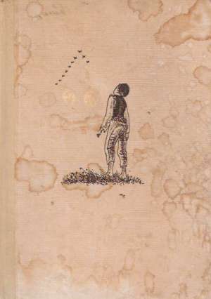 ZBOJNÍCKA MLADOSŤ - Ondrejov Ľudo