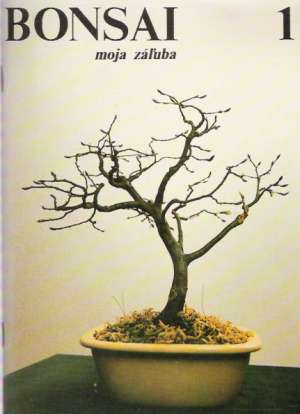 Obal knihy Bonsai, moja záľuba 1.