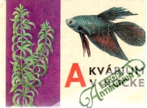 Obal knihy Akvárium v kocke