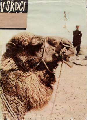 V srdci Ázie - Knobloch E. a Hrbas M.