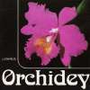 Zákrejs J. - Orchidey