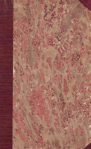 Žena dvoch mužov - Nižnánsky Jožo