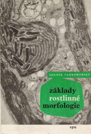 Obal knihy Základy rostlinné morfologie