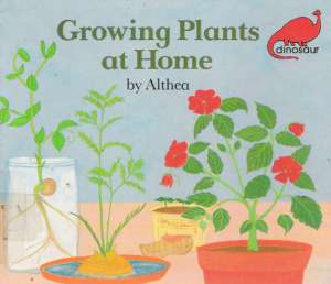 GROWING PLANTS AT HOME - Althea