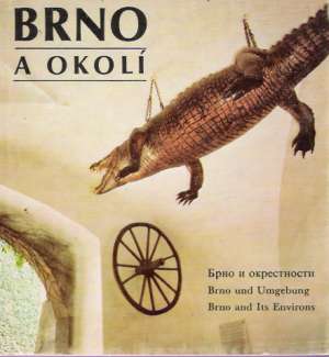 Brno a okolí - Kusák Dalibor