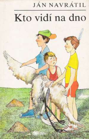 Obal knihy Kto vidí na dno