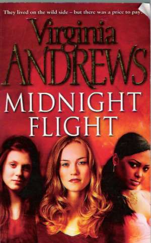 Obal knihy Midnight Flight