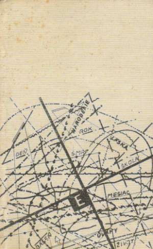 Dievča s bocianími nohami - Šimulčíková Jana