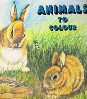 ANIMALS TO COLOUR - Kol.
