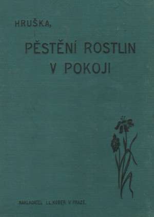 PĚSTĚNÍ ROSTLIN V POKOJI - Hruška B.