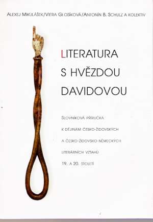 Obal knihy Literatura s hvězdou Dávidovou