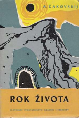 Obal knihy Rok života