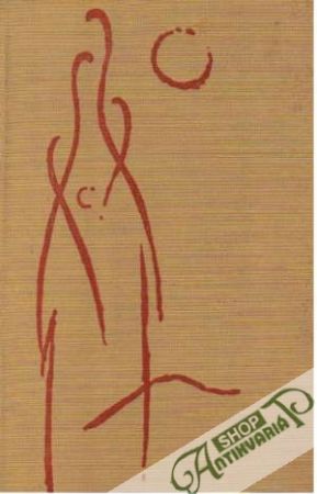 Rumunské arabesky - Rajský Milan