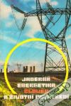 Kolektív autorov - Jaderná energetika, člověk a životní prostředí