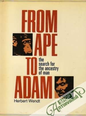 Obal knihy From Ape to Adam - The Search for The Ancestry of Man