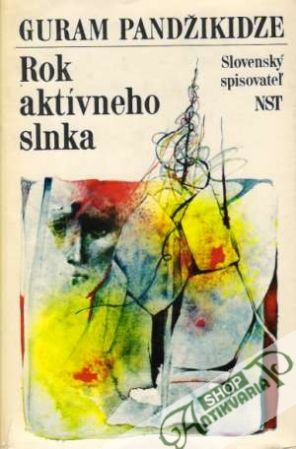 Obal knihy Rok aktívneho slnka