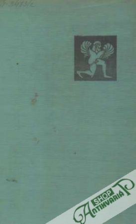 Obal knihy Tichý Ikaros