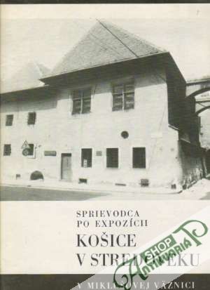 Košice v stredoveku - Kolektív autorov