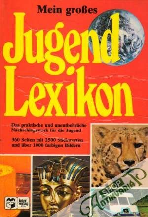 Mein grosses Jugend Lexikon - Kolektív autorov