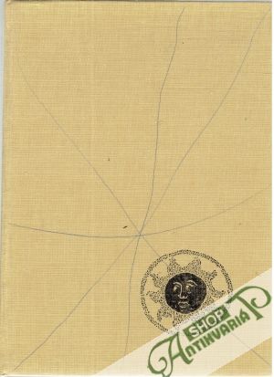 Umění světa - Románské a gotické umění - Kidson Peter