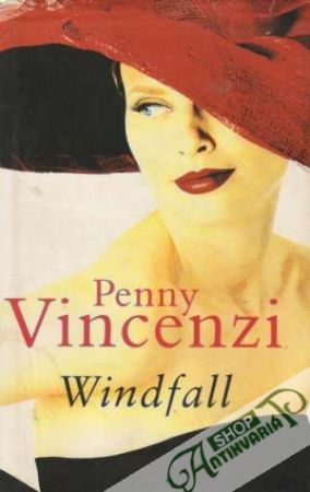 Obal knihy Windfall