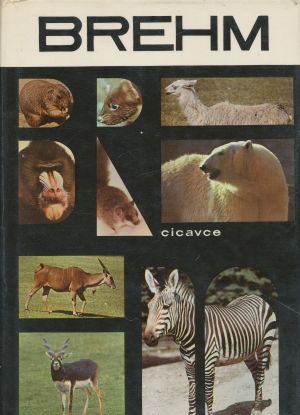 Obal knihy Život zvierat 4. - Cicavce