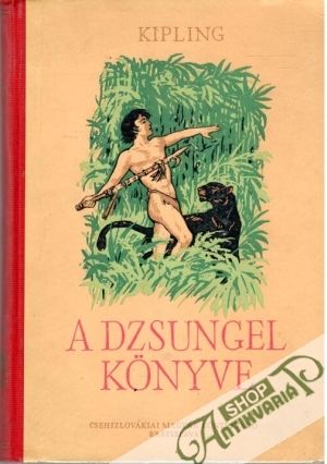 Obal knihy A dzsungel könyve 