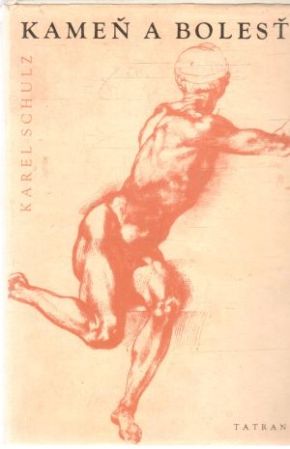 Kameň a bolesť - Schulz Karel