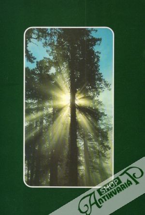 Into the Wilderness - Lowell Georgia