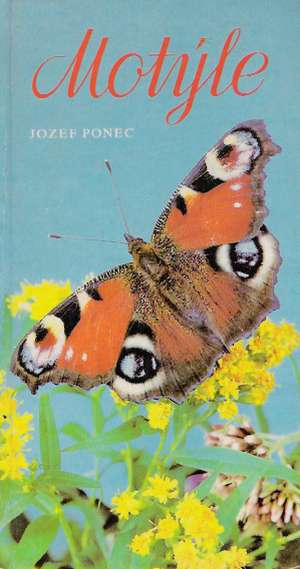 Motýle - Ponec Jozef