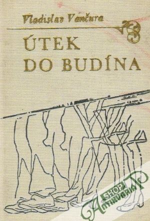 Útek do Budína - Vančura Vladislav