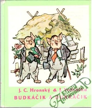 Obal knihy Budkáčik a Dubkáčik