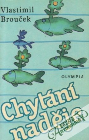 Chytání naděje - Brouček Vlastimil