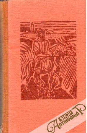 Obal knihy Nasreddin v Buchare