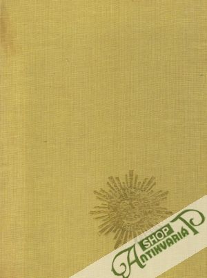 Umění světa - Barok a rokoko - Kitson Michael